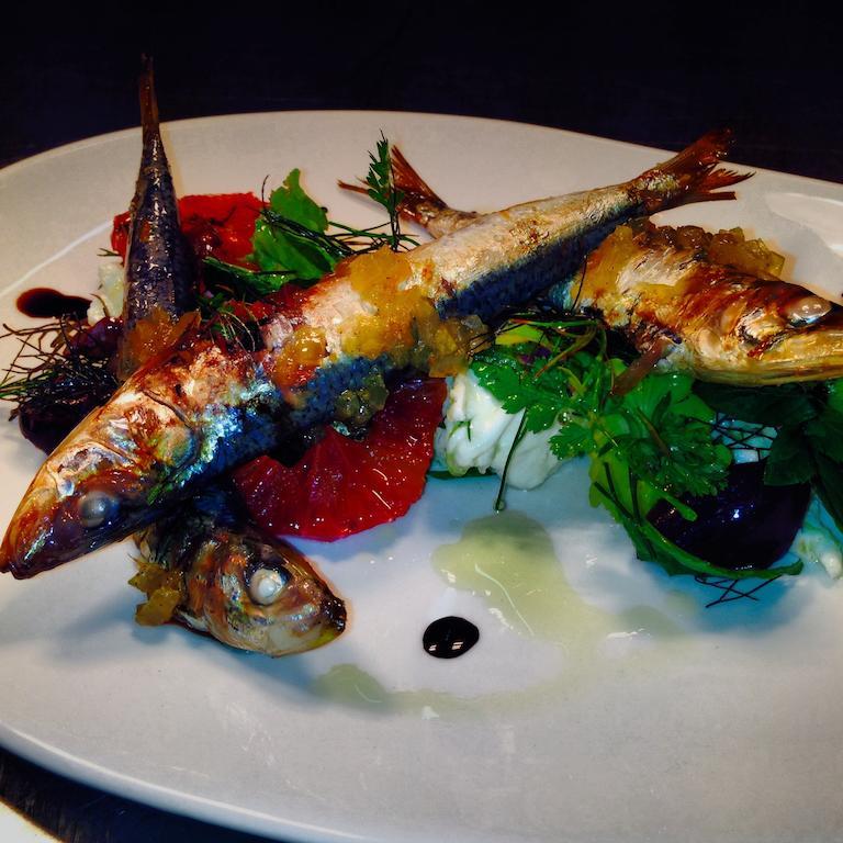 Merrijig Inn Port Fairy Bagian luar foto